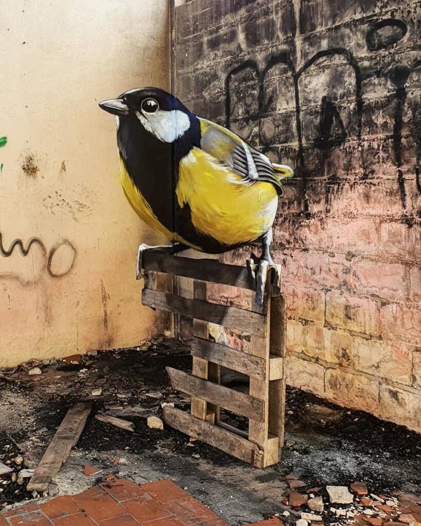 © odeith/Instagram