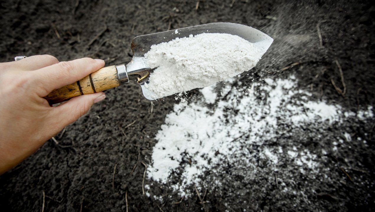 mączka bazaltowa, fot. gettyimages