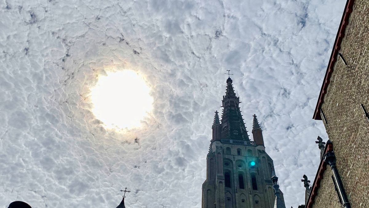 obraz zdjęcie vincent van gogh belgia