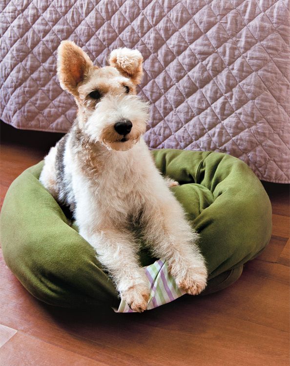 Sweatshirt Pet Bed