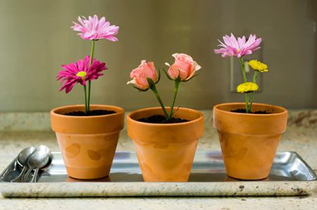 Springy Flower Pot Dessert