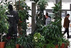 Bulwersujące czy zabawne?