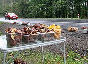 Skandal! Sprzedadzą lasy, na grzyby nie pójdziesz