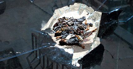 Zdjęcia tygodnia