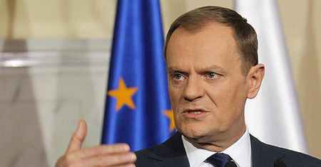 "Albo wyrżną połowę stada PO, albo zagryzą siebie"