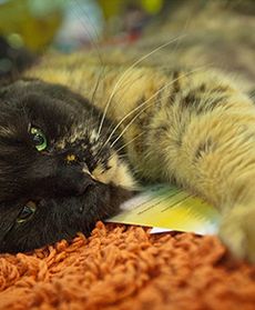 To zdarzyło się w Polsce!