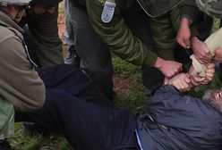 Niszczą gaj, by zbudować mur