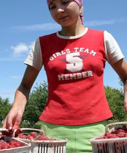 Jest szansa na pół miliona nowych miejsc pracy!