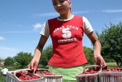 Jest szansa na pół miliona nowych miejsc pracy!