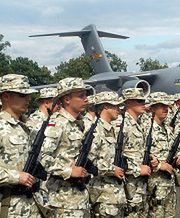 Polscy żołnierze są już w Kuwejcie