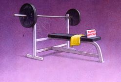 Gdyby mi się chciało tak, jak mi się nie chce. Słomiany zapał nasz powszedni