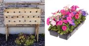 Kilka otworów w drewnianej skrzynce i posadzone w niej kwiaty. Wygląda super!