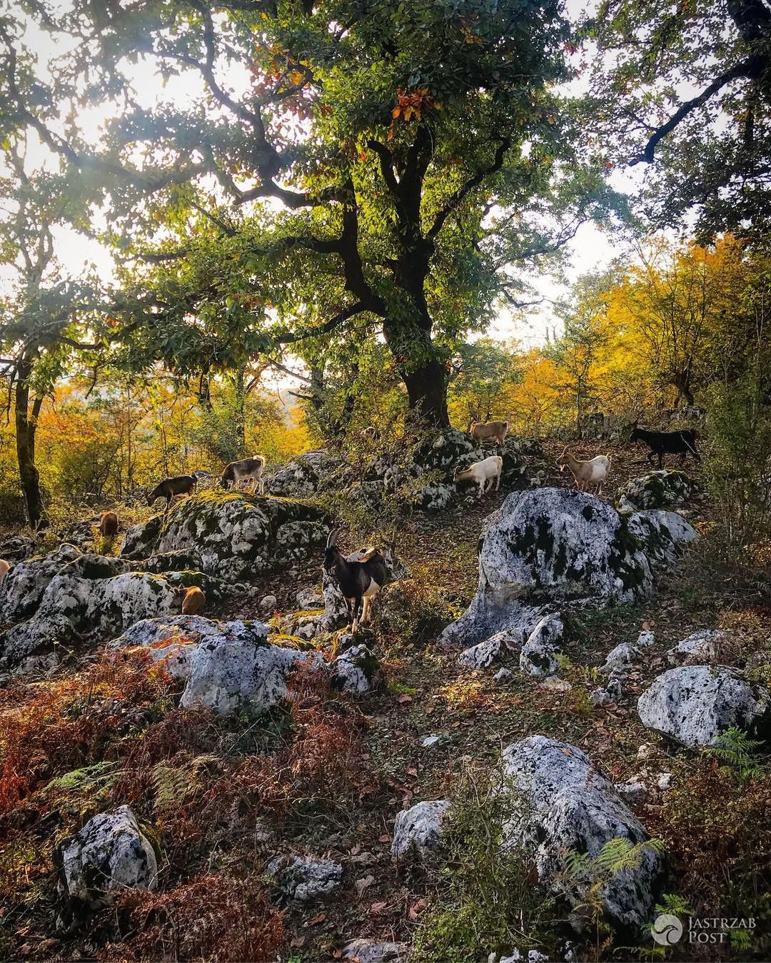 Małgorzata Rozenek realizuje tajemniczy projekt umorusana w błocie