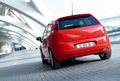 Punto. Numer 1 w Europie