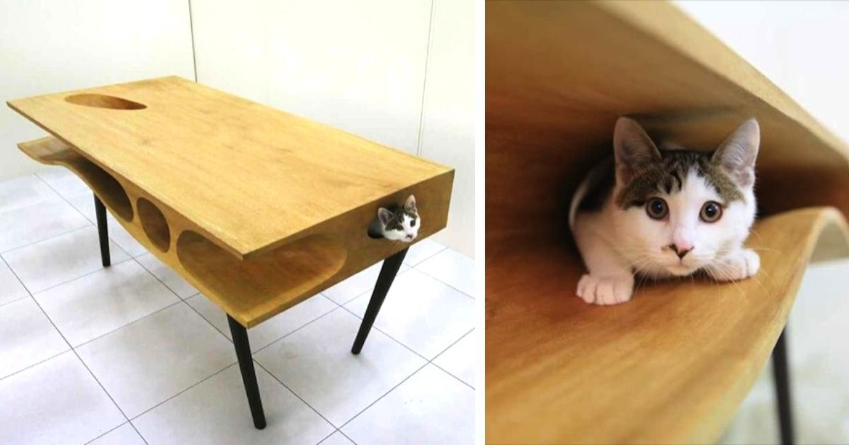 Koto-stół czyli idealny mebel dla fanów kotów oraz oryginalnego designu