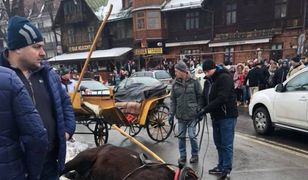 Przerażony koń biegł przez Krupówki. Staranował małe dziecko