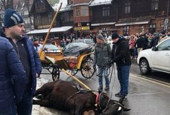 Przerażony koń biegł przez Krupówki. Staranował małe dziecko