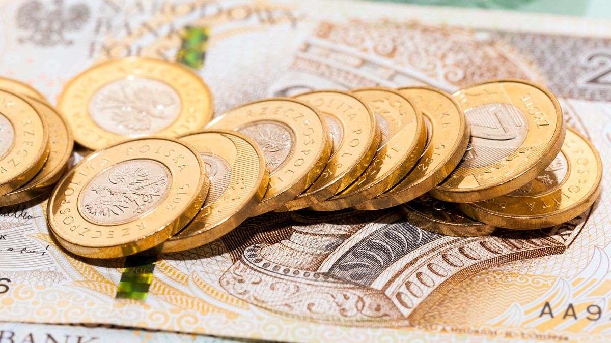 PPK doczekają się nowelizacji, zanim jeszcze na dobre zaczną funkcjonować