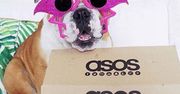 ASOS - oferta, historia, działalność