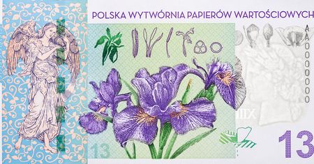 Banknoty, które w ogóle nie powinny trafić do sprzedaży. Najwięcej zamieszania wywołał "warszawski"