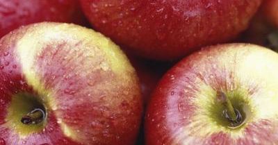 Fruktoza może szkodzić pamięci