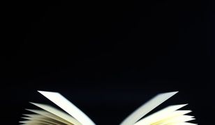 20 najlepszych książek 2012 roku - literatura polska