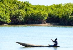 Gambia - uśmiechnięte wybrzeże Afryki