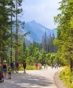 Tatry - błędy popełniane przez turystyów w górach