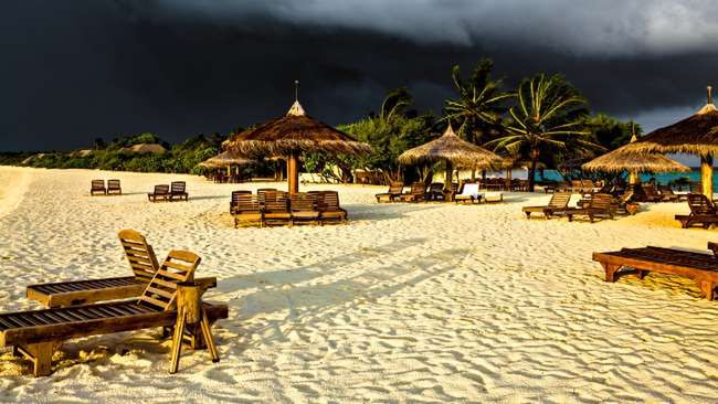 fot. Malbert/Shutterstock.com 