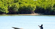 Gambia - uśmiechnięte wybrzeże Afryki