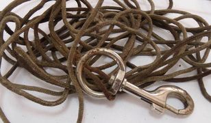 Ciągnął psa na lince, jadąc samochodem. Policja komentuje sprawę