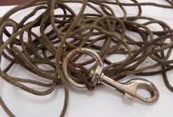 Ciągnął psa na lince, jadąc samochodem. Policja komentuje sprawę