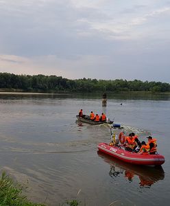 Sprzeczne informacje ws. pytona znad Wisły. Głos zabrali ekolodzy, pojawił się nawet jasnowidz