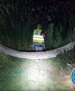 Pyton nadal straszy nad Wisłą, jest nowy trop. Mamy zdjęcie, które pokazuje, jak duży jest wąż