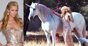 Paris Hilton schudła do nowego teledysku. Zobacz, jaką teraz ma dietę i jak wypadła w klipie [wideo]