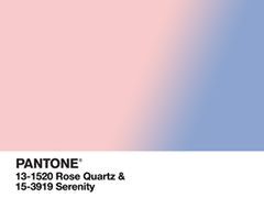 Raport Pantone: kolory roku 2016