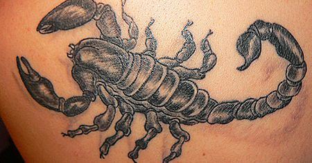 Kanibal, skorpion i i wściekły byk - tatuaże Internautów