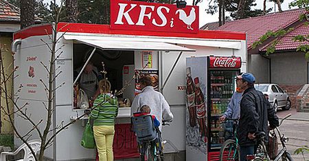 Chleb kałowy orkiszowy i inne śmieszne zdjęcia