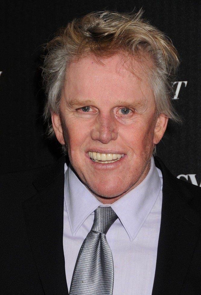 Gary Busey