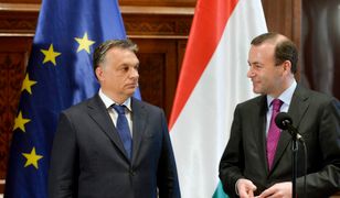 Wybory do Parlamentu Europejskiego: Orban uderza w Webera. Pierwszy europejski skandal wyborczy