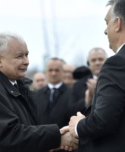 Kaczyński rządzi 3 lata, a Budapesztu w Warszawie nie ma. I do jesieni 2019 ma nie być