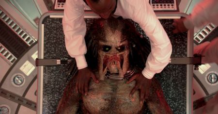 "Predator": Będziesz bawić się jak prosię [RECENZJA BLU-RAY]