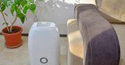 Do mieszkania i do biura. Klimatyzator niezbędny na upalne dni