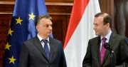 Wybory do Parlamentu Europejskiego: Orban uderza w Webera. Pierwszy europejski skandal wyborczy