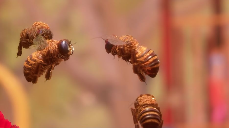 Bee Simulator niespodziewanie okazał się dużym sukcesem finansowym