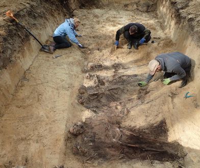 W bydgoskim lesie znaleziono 300 ciał. Część z nich ma obcięte głowy