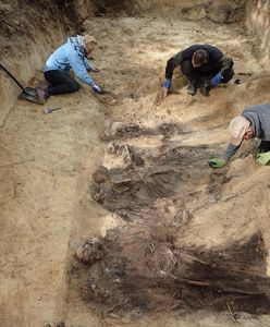 W bydgoskim lesie znaleziono 300 ciał. Część z nich ma obcięte głowy