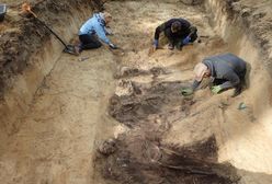 W bydgoskim lesie znaleziono 300 ciał. Część z nich ma obcięte głowy