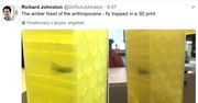 Skamieniałość na miarę XXI wieku. Powstała przez chwilę nieuwagi