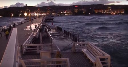 Tajemnicza śmierć w marinie. Znaleziono dryfujące zwłoki